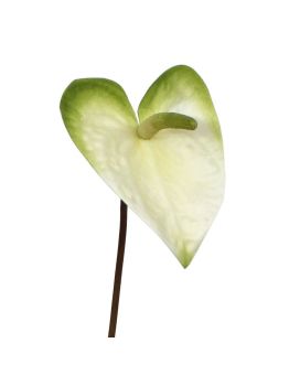 Anthurium kunstplant M 55 cm wit-groen