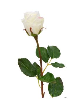 Rozentak knop 52 cm creme