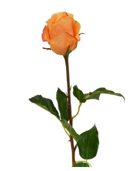 Rozentak knop 52 cm oranje