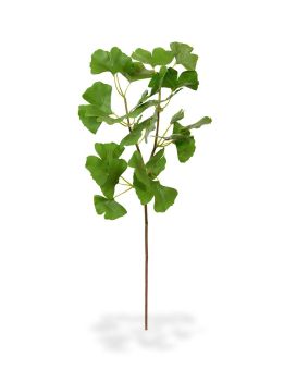 Ginkgo kunstbladtak deluxe 50