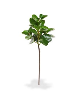 Peperomia Obtusifolia kunstbladtak 50 cm