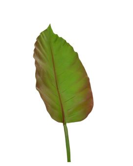 Caladium kunstblad deluxe 75 cm