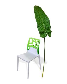 Alocasia kunstbladtak XL