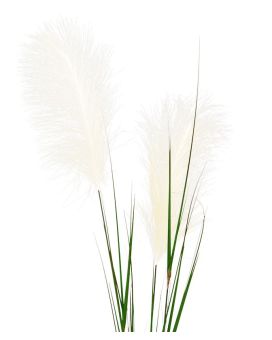 Pampasgras kunsttak 120cm - creme