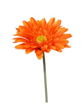 Gerbera kunst steelbloem 60 cm oranje
