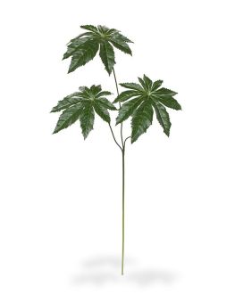 Aralia kunsttak 65 cm