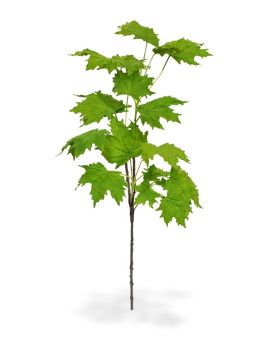 Maple kunsttak deluxe 80 cm groen