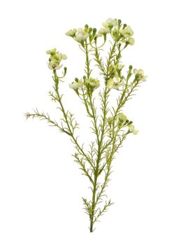 Waxflower kunsttak 65 cm groen