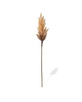 Rietpluim kunsttak 85 cm creme