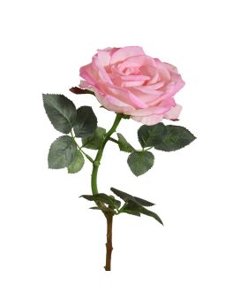 Kunst Rozentak Elizabeth RT 65 cm rose