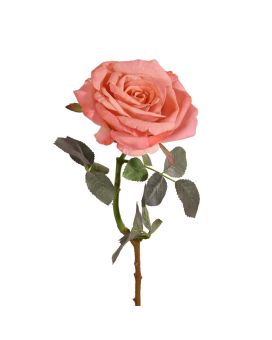 Kunst Rozentak Elizabeth RT 65 cm zalm