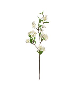Appel Bloesemtak deluxe 95cm Creme
