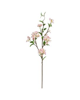 Appel Bloesemtak deluxe 95cm Peach