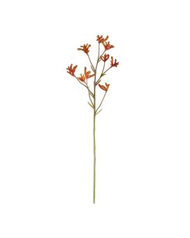 Kangaroepoot tak 70cm - oranje