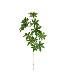 Adansonia kunst tak 80cm