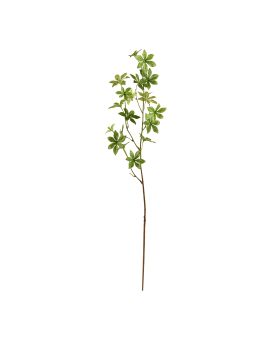 Enkianthus tak 85cm - groen