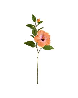 Hibiscus tak 65cm - zalm