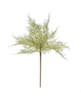 Asparagus Kunst tak 45cm grijs/groen