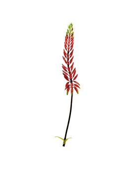 Agave Kunsttak 80cm Oranje