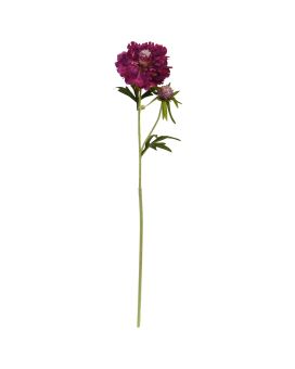 Scabiosa Kunstbloem 57cm Burgundy