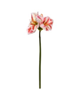 Amaryllis Kunstbloem 67cm Wit Rood