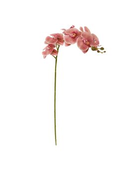 Phalaenopsis Kunstbloem 95cm Zalm