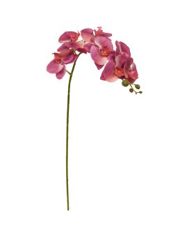 Phalaenopsis Kunstbloem 95cm Paars