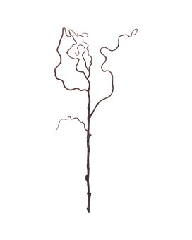 Wilgentak kunst 73cm bruin