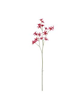 Tweedia Oxypetalum Kunsttak 68cm Paars