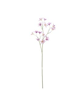 Tweedia Oxypetalum Kunsttak 68cm Lila