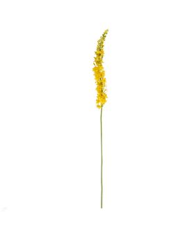 Eremurus Kunsttak 110cm Geel