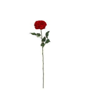 Engelse Tuinroos Kunsttak 56cm Rood