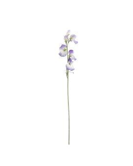 Lathyrus Kunsttak 64cm Blauw