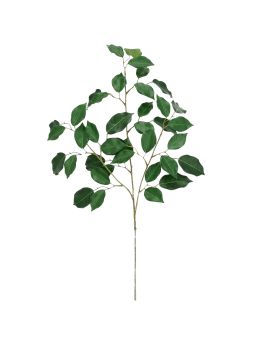Ficus Kunsttak FR 77cm Groen