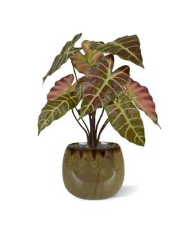 Alocasia Kunstplant 40cm Burgundy
