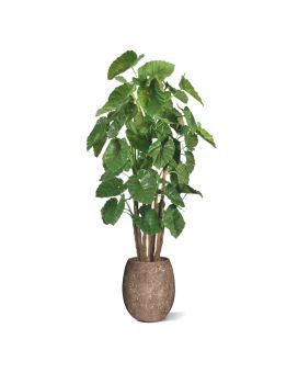 Alocasia Calidora Giant deluxe kunstboom 210cm