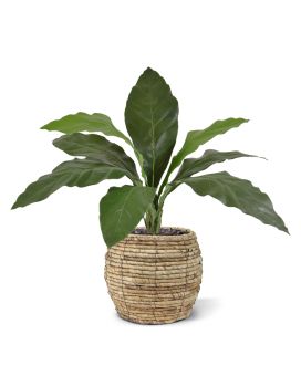 Anthurium Jungle King kunstplant 60cm
