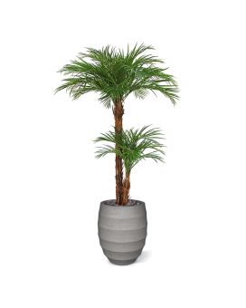 Areca kunstpalm deluxe 225cm