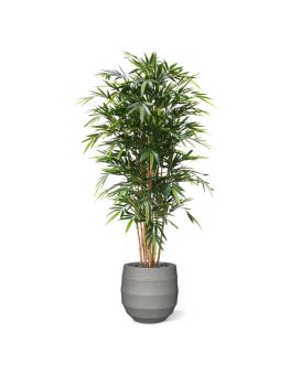 Bamboe deluxe kunstplant 180cm