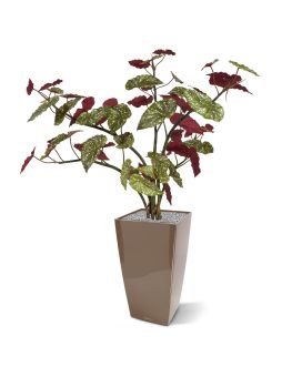 Begonia Maculata kunstplant 110cm