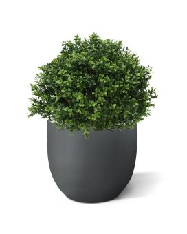 Buxus bol deluxe kunstplant 40cm