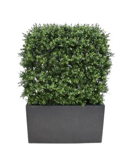 Buxus deluxe kunstheg 80x100cm - UV bestendig