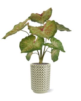 Caladium raspberry kunstplant 40cm