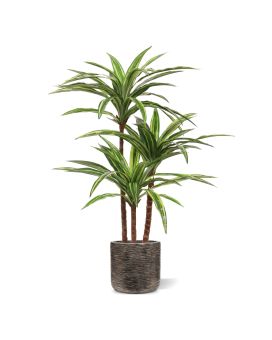 Draceana Massangeana kunstplant Deluxe 95cm