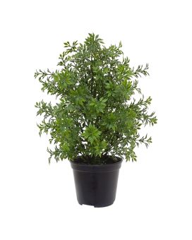Eucalyptus kunstplant 30cm - UV bestendig