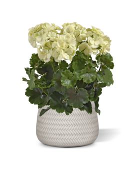 Kunst Geranium PL XL 40cm -creme - UV bestendig
