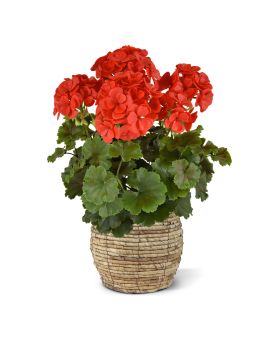 Geranium PL XL kunstplant 40cm -rood - UV bestendig