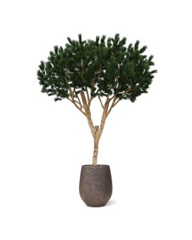 Pinus Umbrella XL Kunstboom Deluxe 260cm