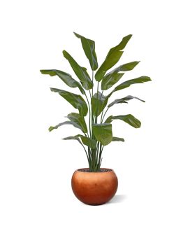 Traveller Palm promo 190cm