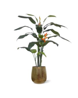 Heliconia deluxe kunstplant 175cm